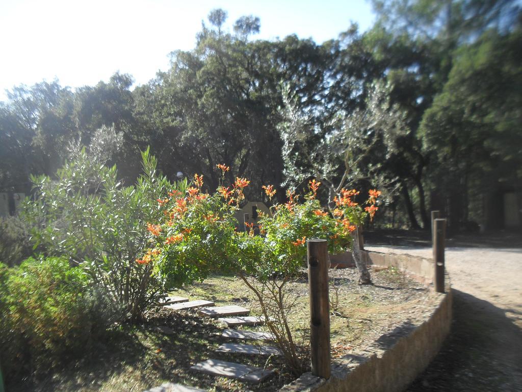 Villa Quinta Do Outeiro Alto Constância Exterior foto