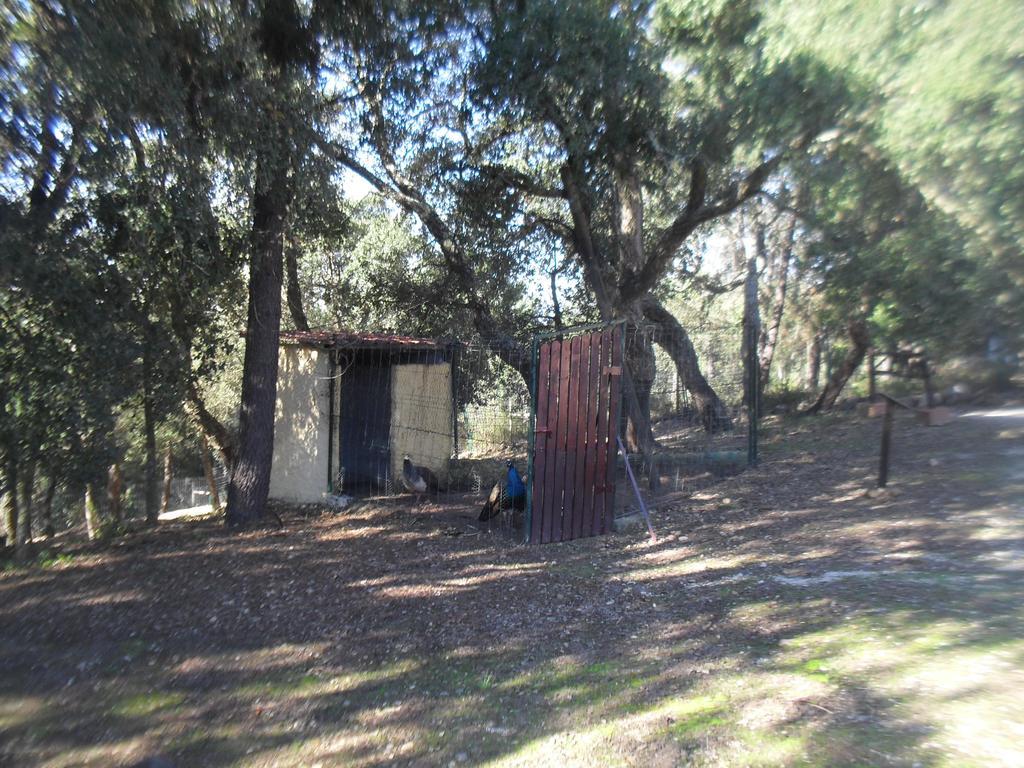 Villa Quinta Do Outeiro Alto Constância Exterior foto