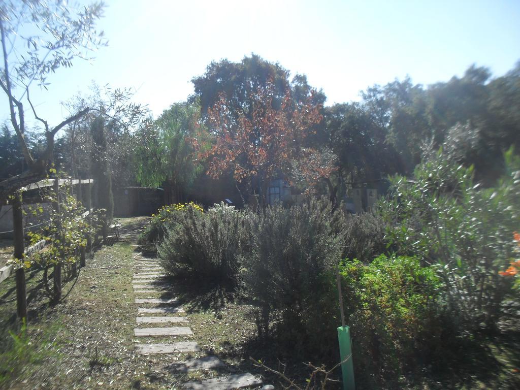 Villa Quinta Do Outeiro Alto Constância Exterior foto