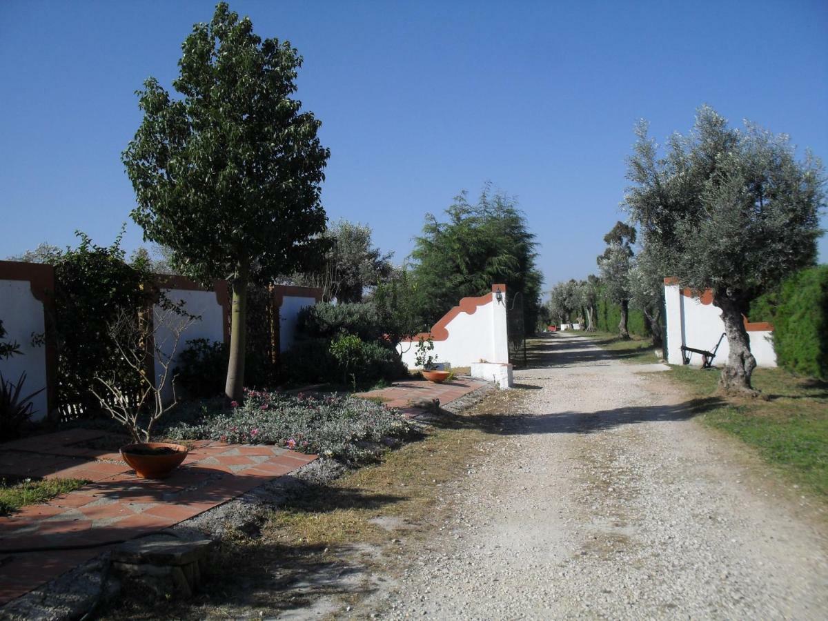 Villa Quinta Do Outeiro Alto Constância Exterior foto